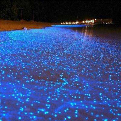 美伊15项停火方案引爆市场！亚太股市狂欢，黄金急拉原油跳水